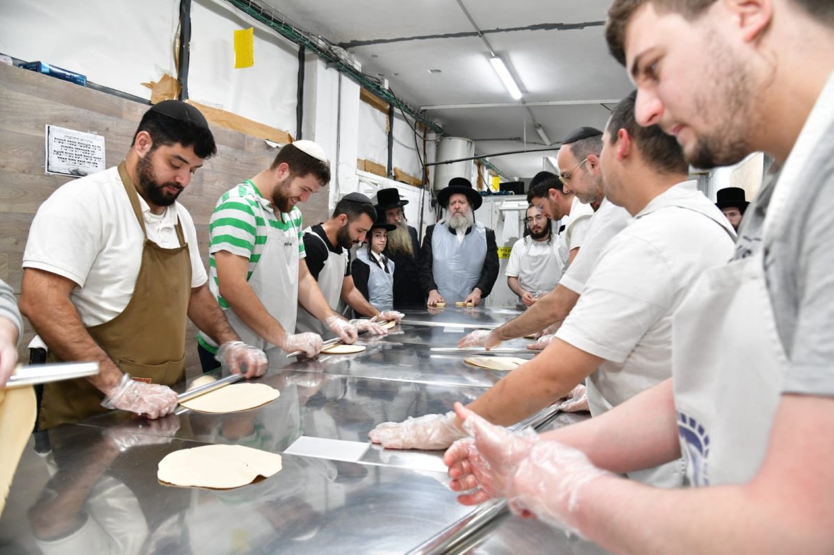 צילום: יהושע פרוכטר