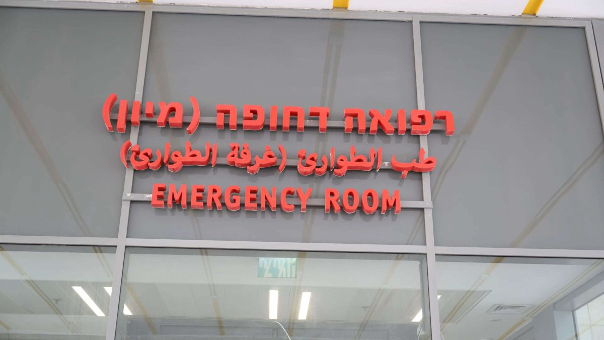 מלרד אסותא. דוברות