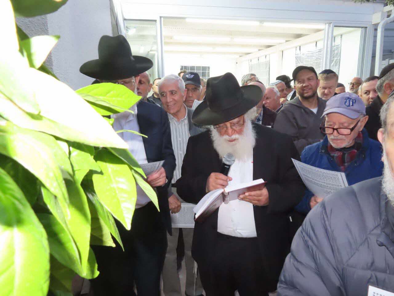 רבי מאיר כהן בברכת האילנות. א. מיכאלי