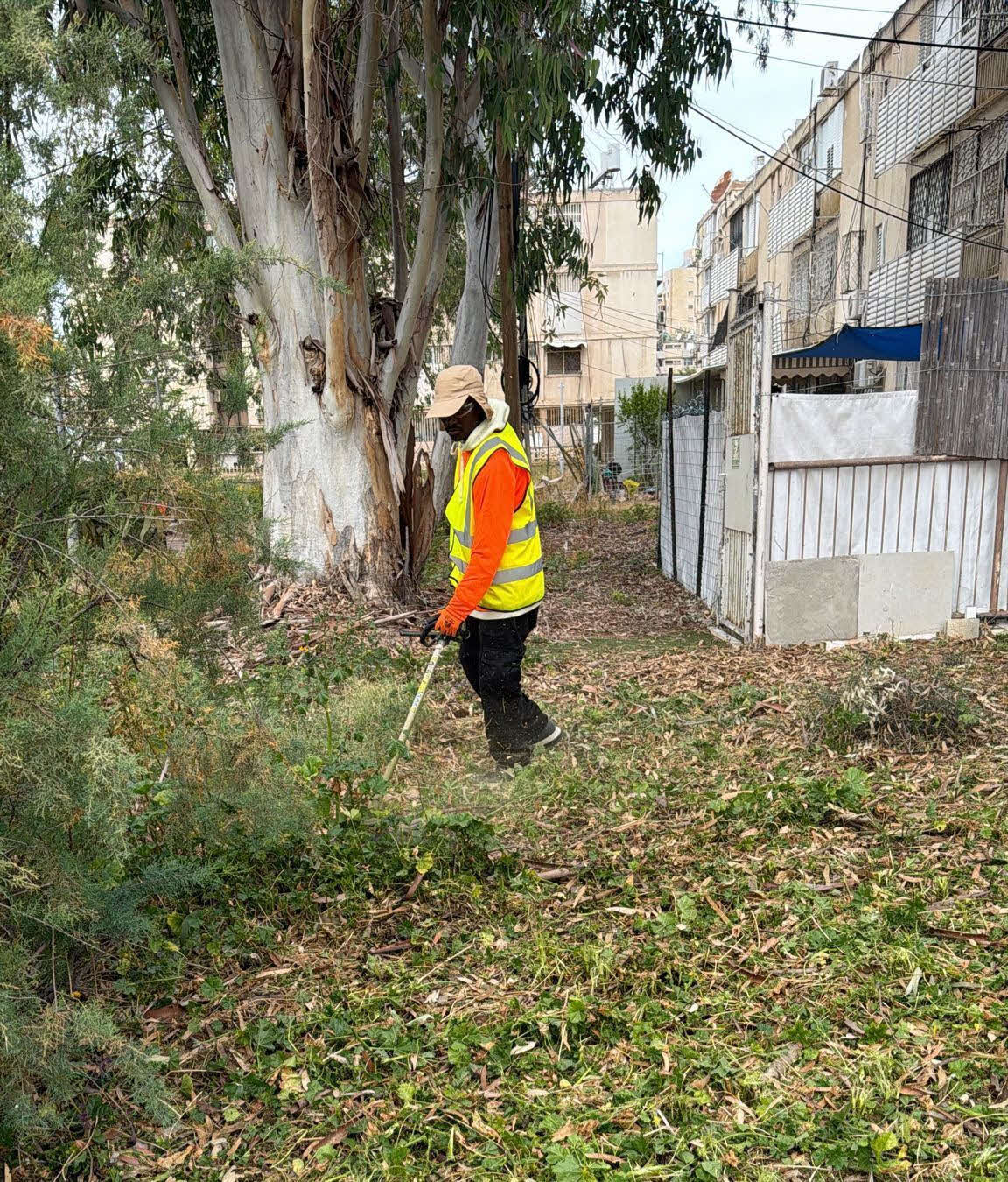 הניקיון בגינות. לירון מולדובן