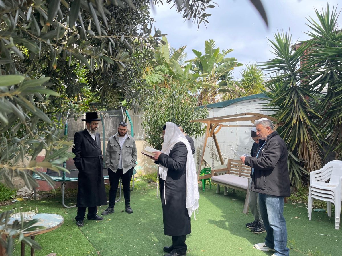 הרב אמסלם בברכת האילנות. א' מיכאלי