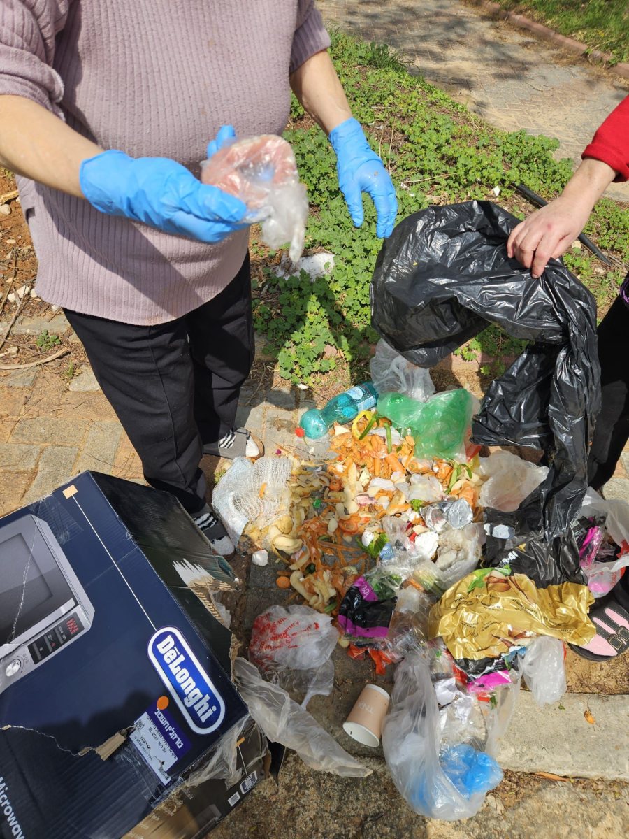 צילום: עירית אשדוד