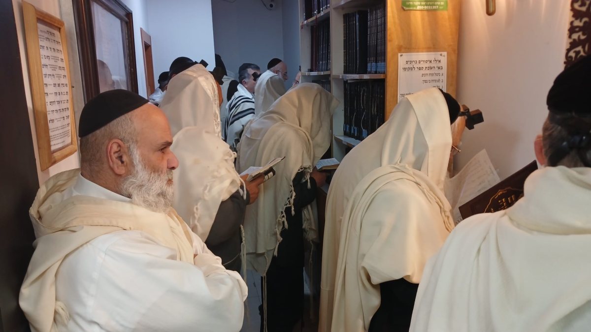 צילום: א' מיכאלי