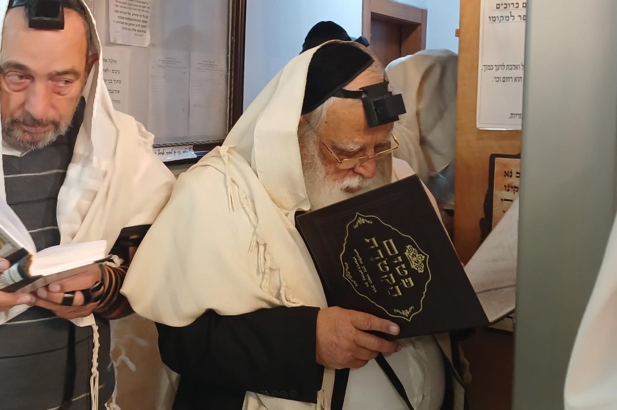 צילום: א' מיכאלי