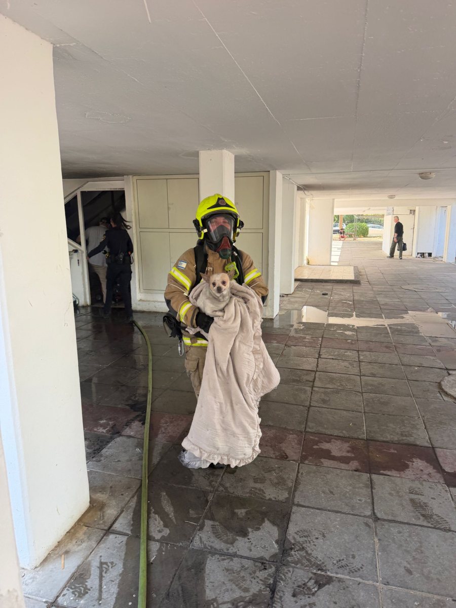 חילוץ הכלב מהזירה. כבה