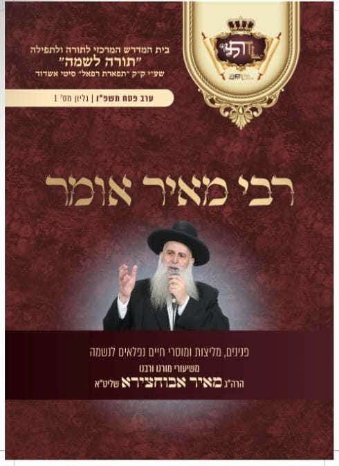 רבי מאיר אומר. ספרו של האדמור רבי מאיר שליטא
