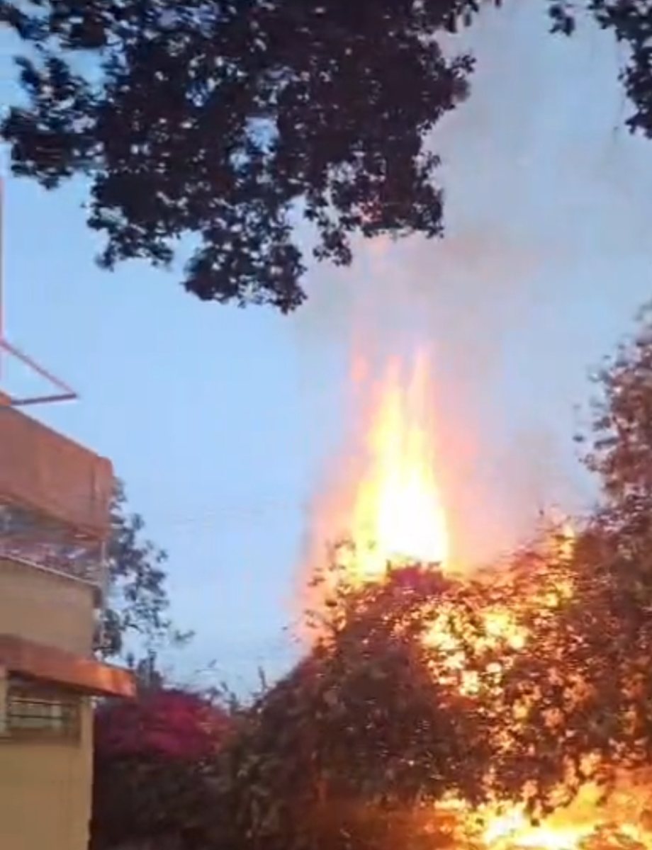 הלהבות בכביש S. צילום: חמל