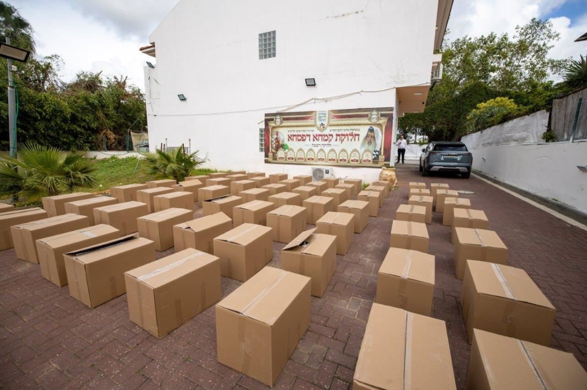 הערכות מוכנות לחלוקה. אורות חיים ומשה