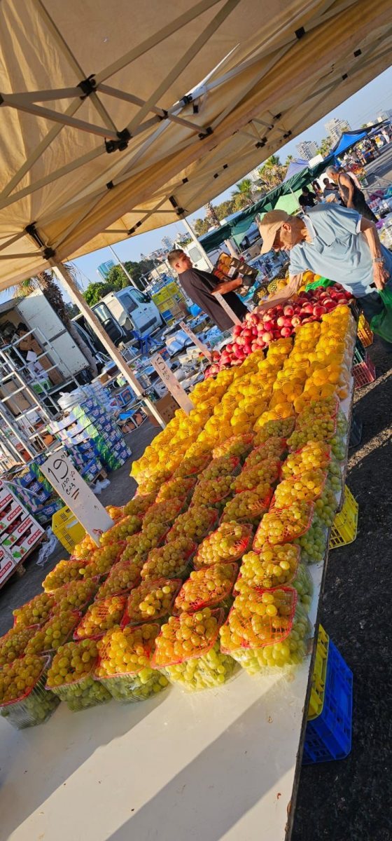 שוק ים אשדוד. צילום: אשדוד נט 
