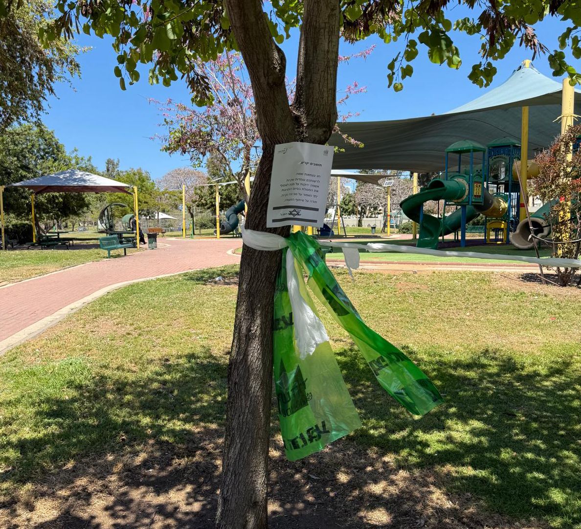 צילום: עירית אשדוד