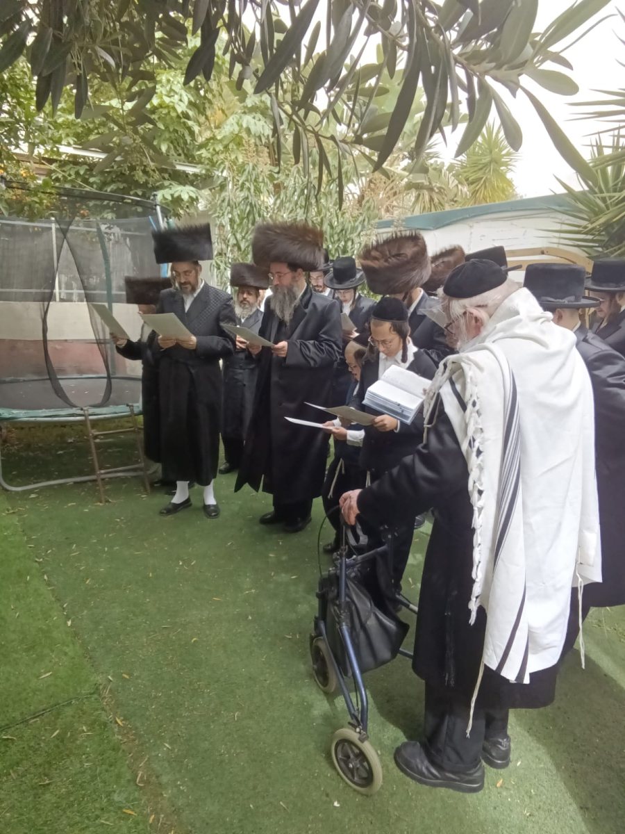 האדמו,ר מטאלנא בברכת האילנות