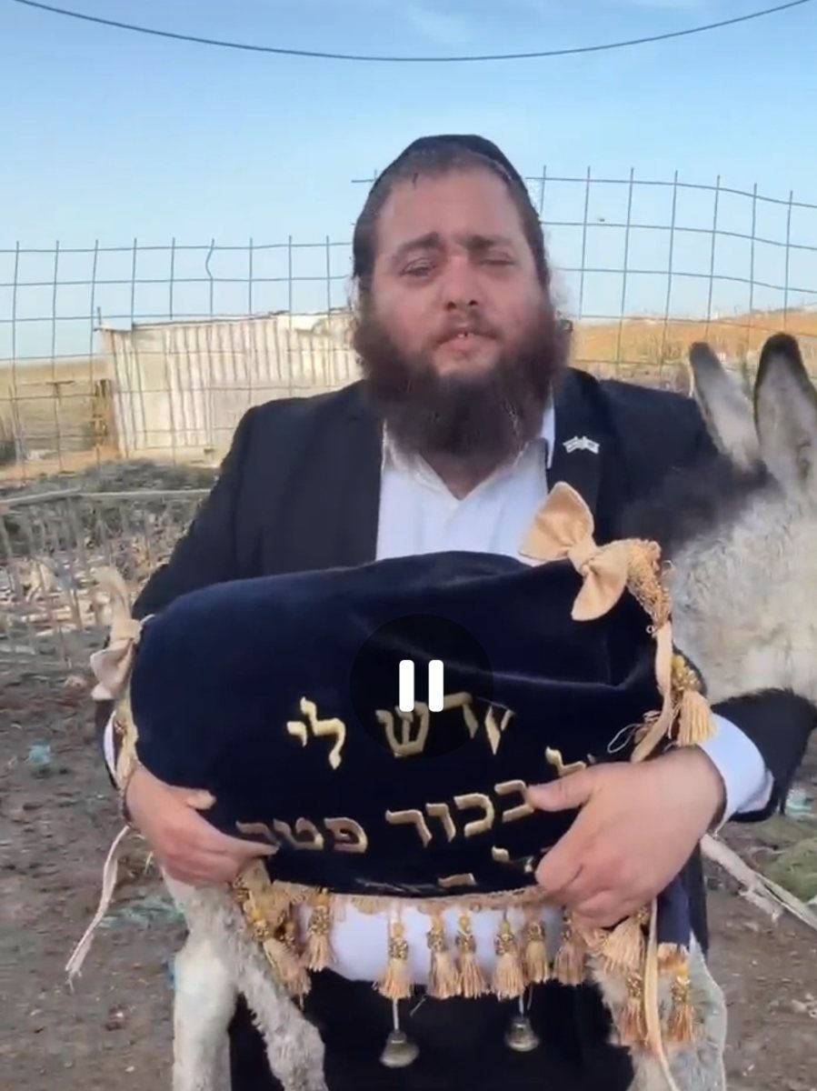 פדיון פטר חמור