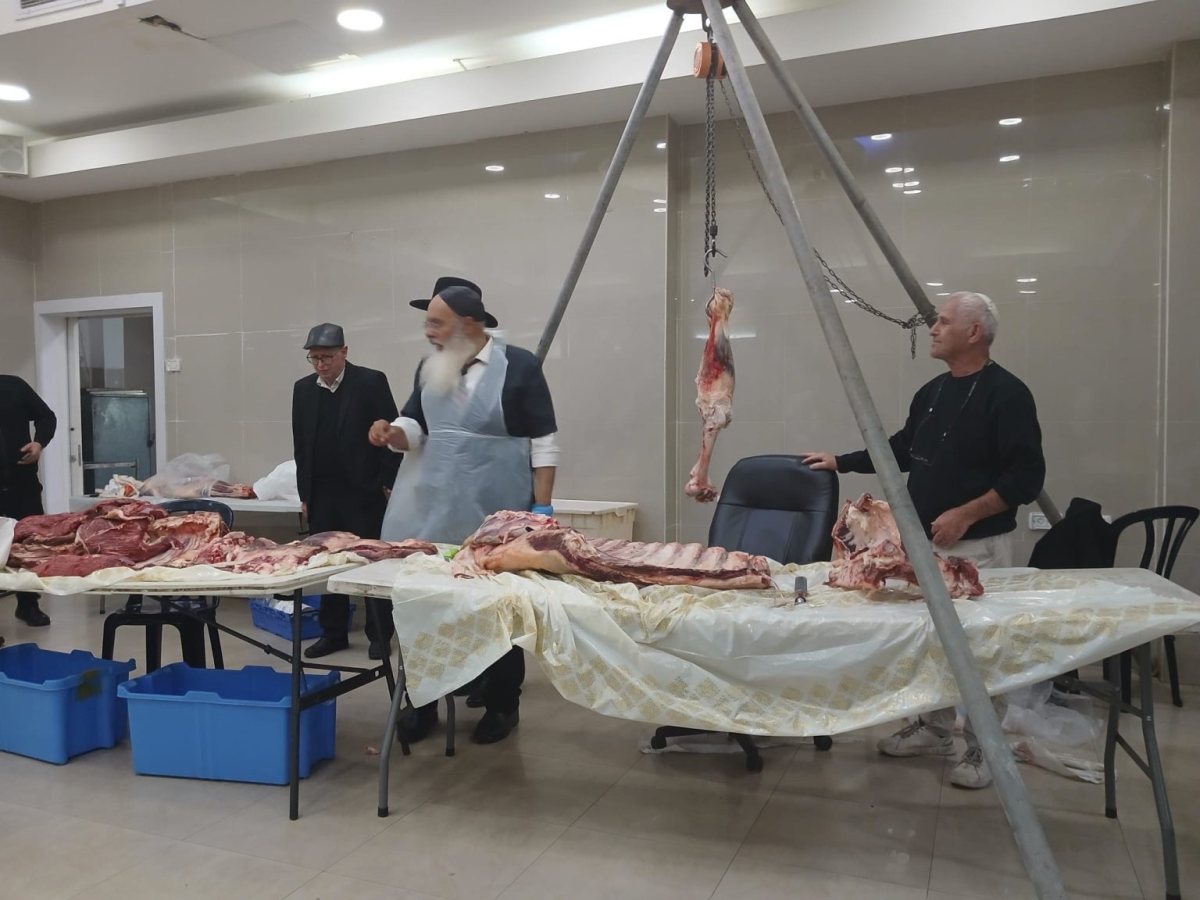 הרב בן דוד בשיעור מעשי. א מיכאלי