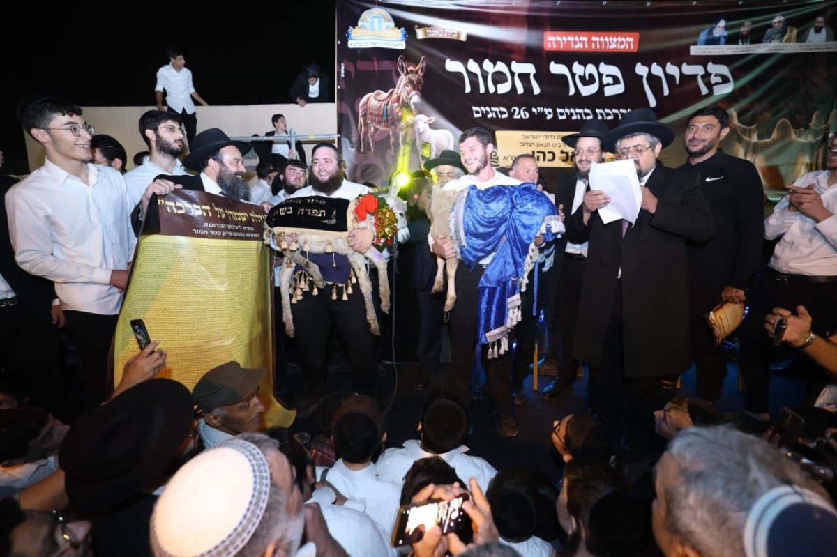 פדיון פטר חמור במושב ברכיה. יעקב כהן