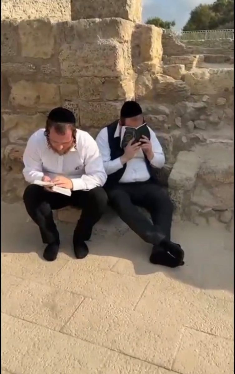 מתוך הסרטון