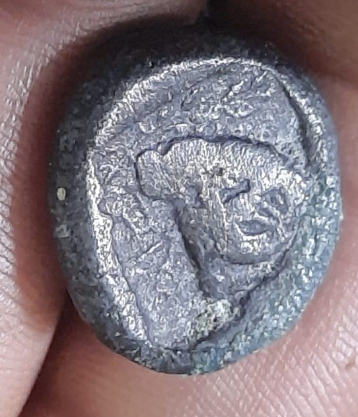 צילום: עירית אשדוד