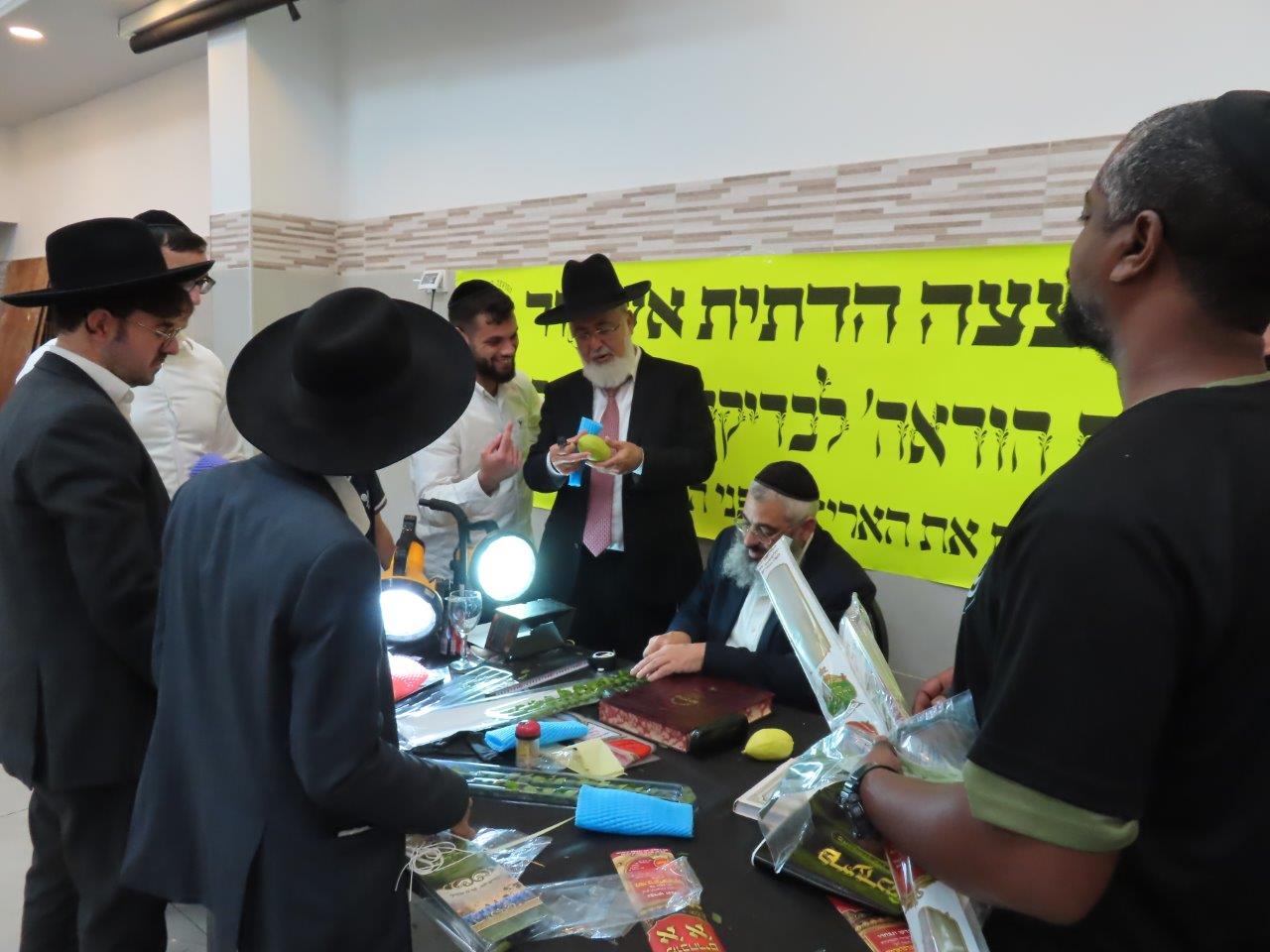 צילום: א' מיכאלי