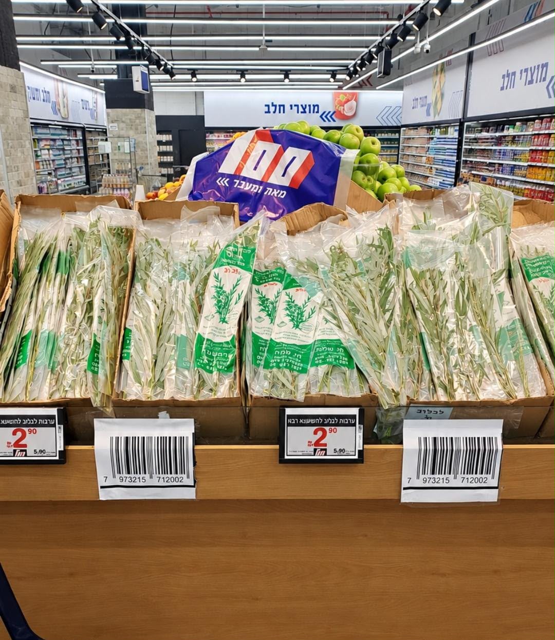 מאה ומעבר. יחצ