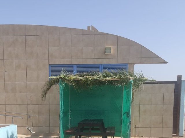 צילום: יחיאל ברונר