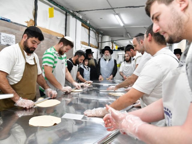 צילום: יוסי לוי