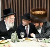 צילום: שוקי בריכטא