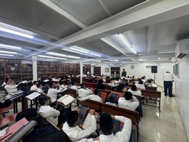 צילום: א' מיכאלי
