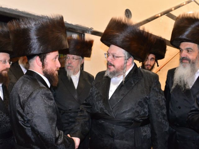 צילום: יוסי לוי