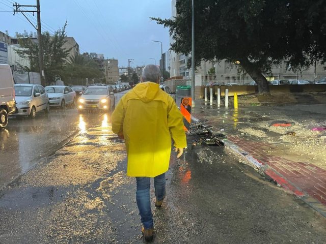 צילום: שמואל דוד