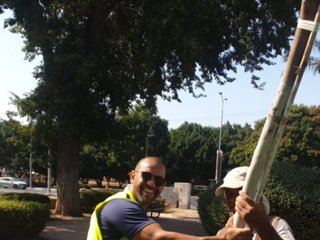 נוטעים עצים חדשים. מינהלת רובע ו'-ח''