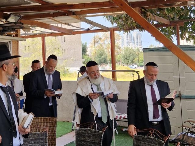 צילום: א' מיכאלי