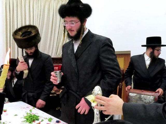 צילום: א. מיכאלי