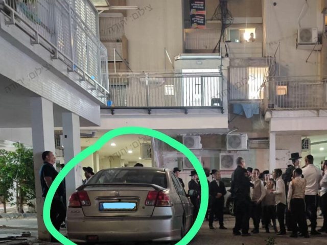 צילום: יהודה