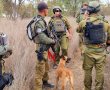 לא עוצרים עד איתור הנעדר האחרון: ההזדמנות שלכם לסייע ליחידת הכלבנים 