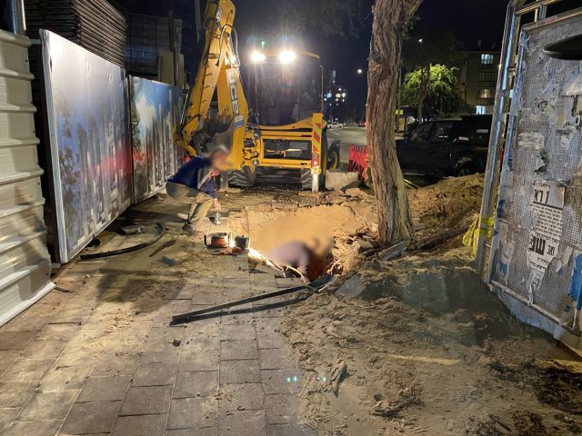 צילום: אשדוד נט