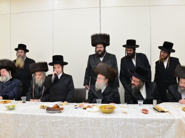 צילום: יוסי לוי