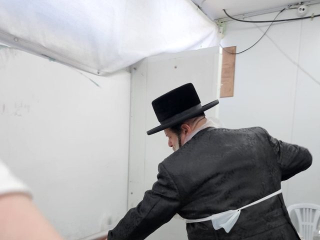 צילום: חצר שאץ