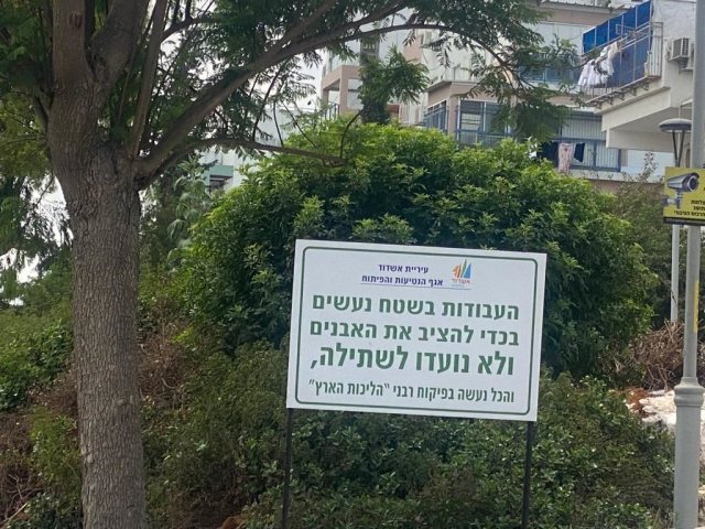 נטיעות לא בשמיטה. צילום: מינהלת רובע ז'