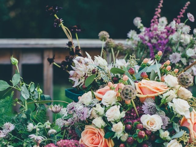 -Photo by Annie Spratt on Unsplash