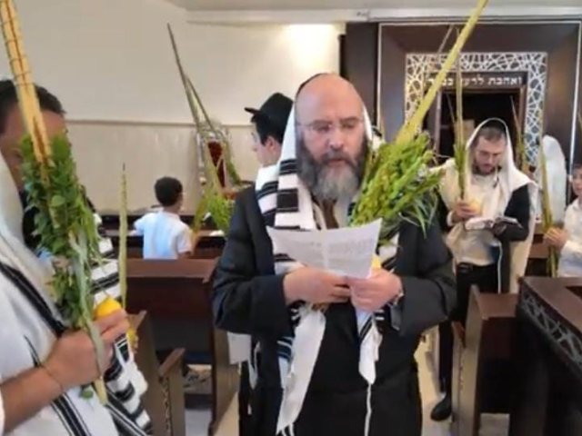 צילום: א. מיכאלי