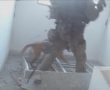 צפו: כלבי יחידת עוקץ נמצאים בחזית הלחימה בעזה (וידאו)
