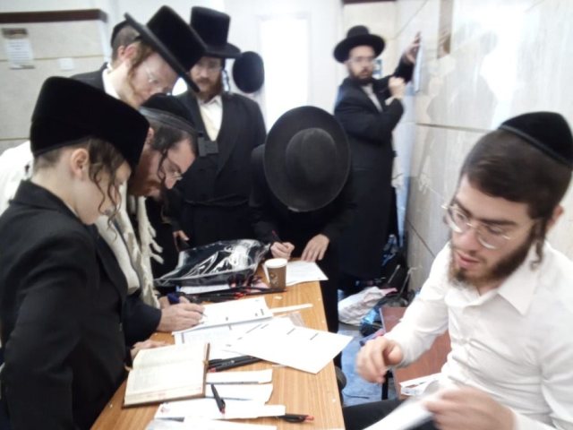 תורמים מח עצם. השבוע