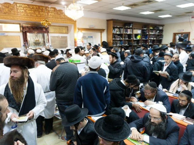 מתפללים על הציון הקדוש באומן. צילום: אלחנן קוטלר
