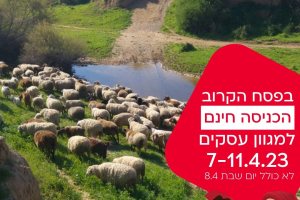 ב'הפועלים' מחכים לך. בוא תעשה חשבון