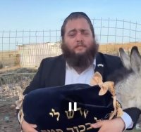 פדיון פטר חמור