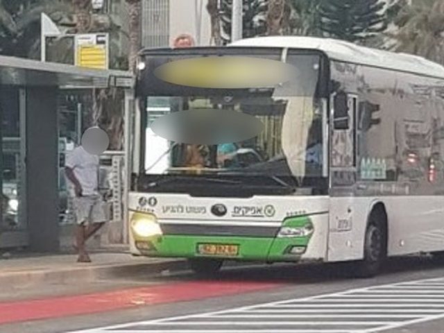אוטובוס אפיקים