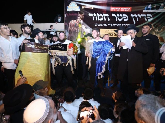 פדיון פטר חמור במושב ברכיה. יעקב כהן