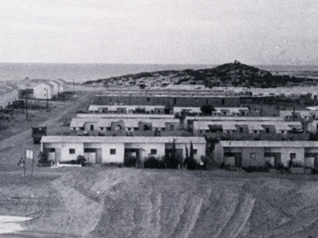 הקליפורניות באשדוד (מהארכיון העירוני לתולדות אשדוד)