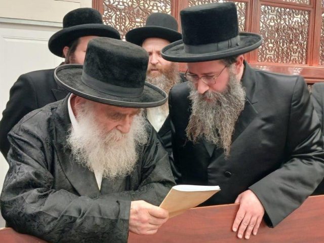 צילום: א. מיכאלי