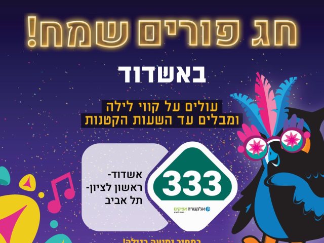 קווי הלילה