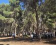 צילום: באדיבות המצלם